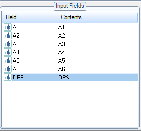 5. Input Field Display