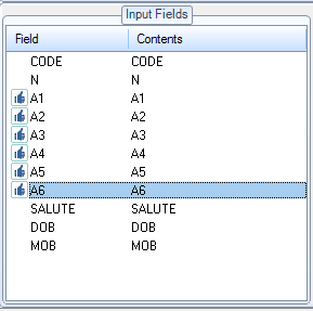 5. Input Field Display